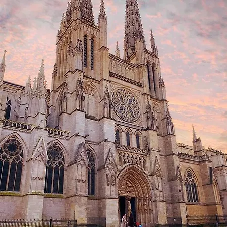 Charmant T2 Hyper-Centre Bordeaux Exterior photo